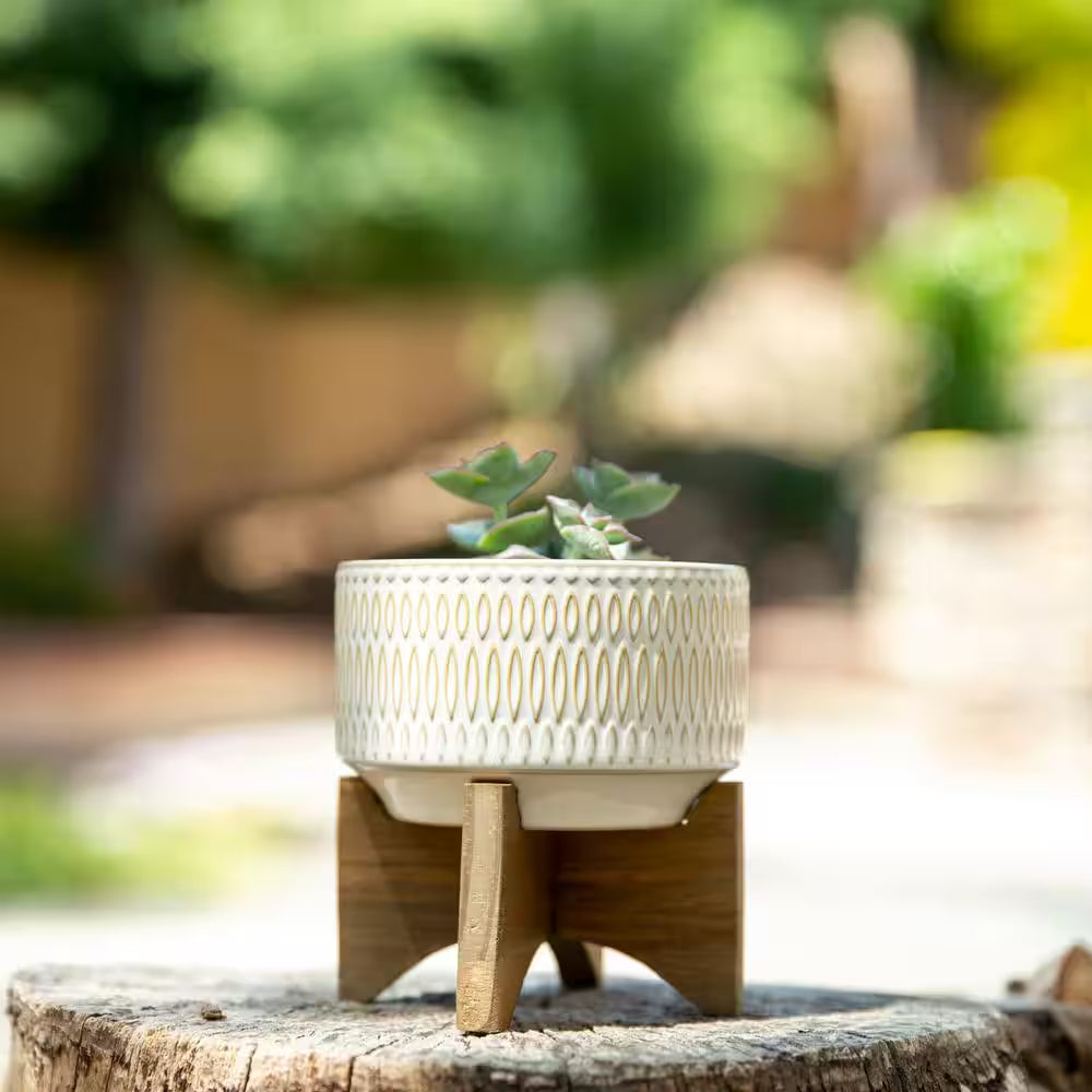 4.3 In. Gianna Small Ivory White Ceramic Pot (4.3 In. D X 4.75 In. H) with Stand