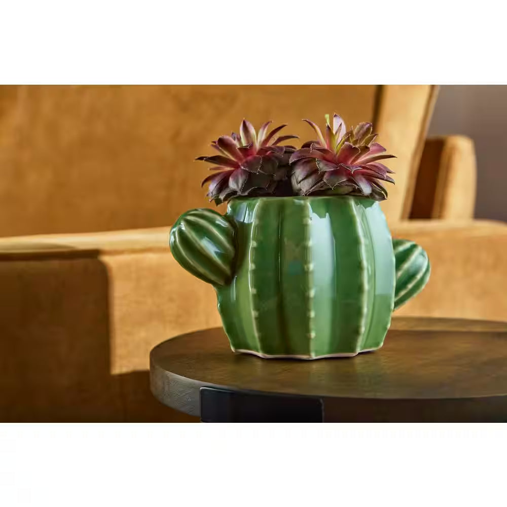 6.7 In. Raker Cactus Small Green Ceramic Pot (6.7 In. D X 3.7 In. H) with Drainage Hole