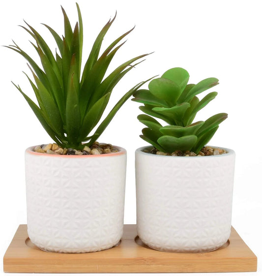 Lifelike Succulent Set with Tray