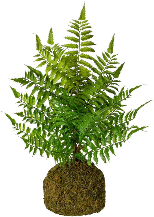 Lush Life Faux Fern Decor
