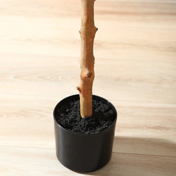 Lifelike Ficus Tree in Pot
