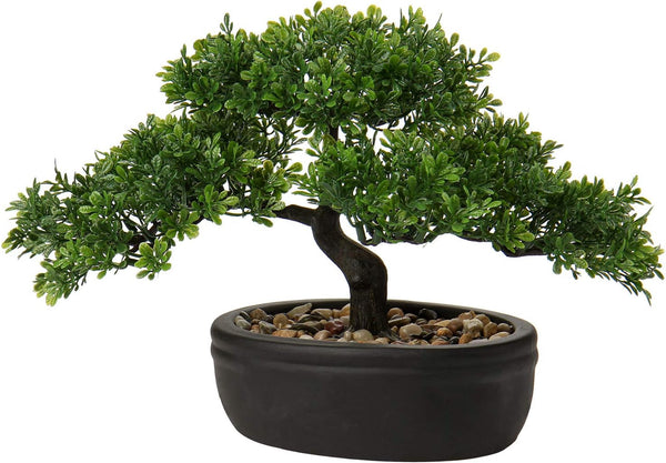 Charming Juniper Bonsai Decor