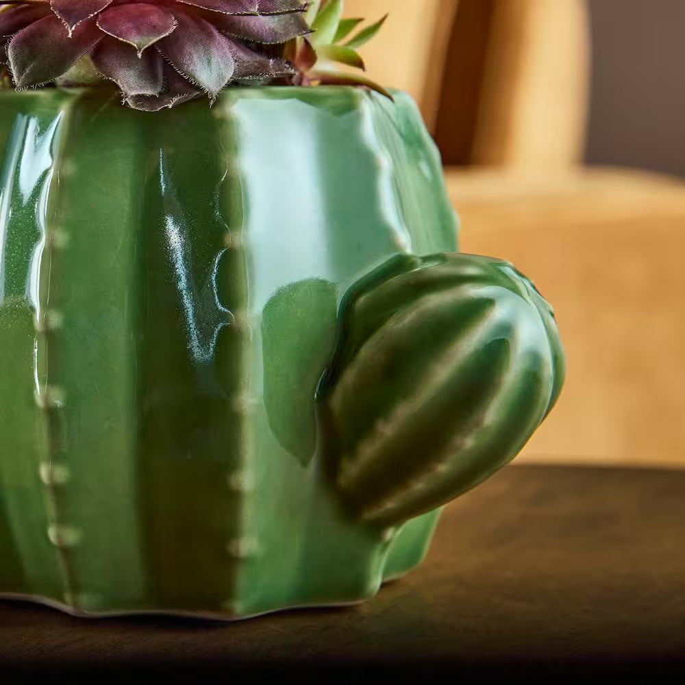 6.7 In. Raker Cactus Small Green Ceramic Pot (6.7 In. D X 3.7 In. H) with Drainage Hole