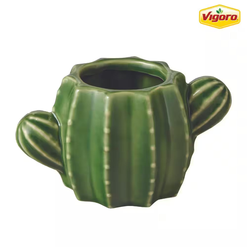 6.7 In. Raker Cactus Small Green Ceramic Pot (6.7 In. D X 3.7 In. H) with Drainage Hole